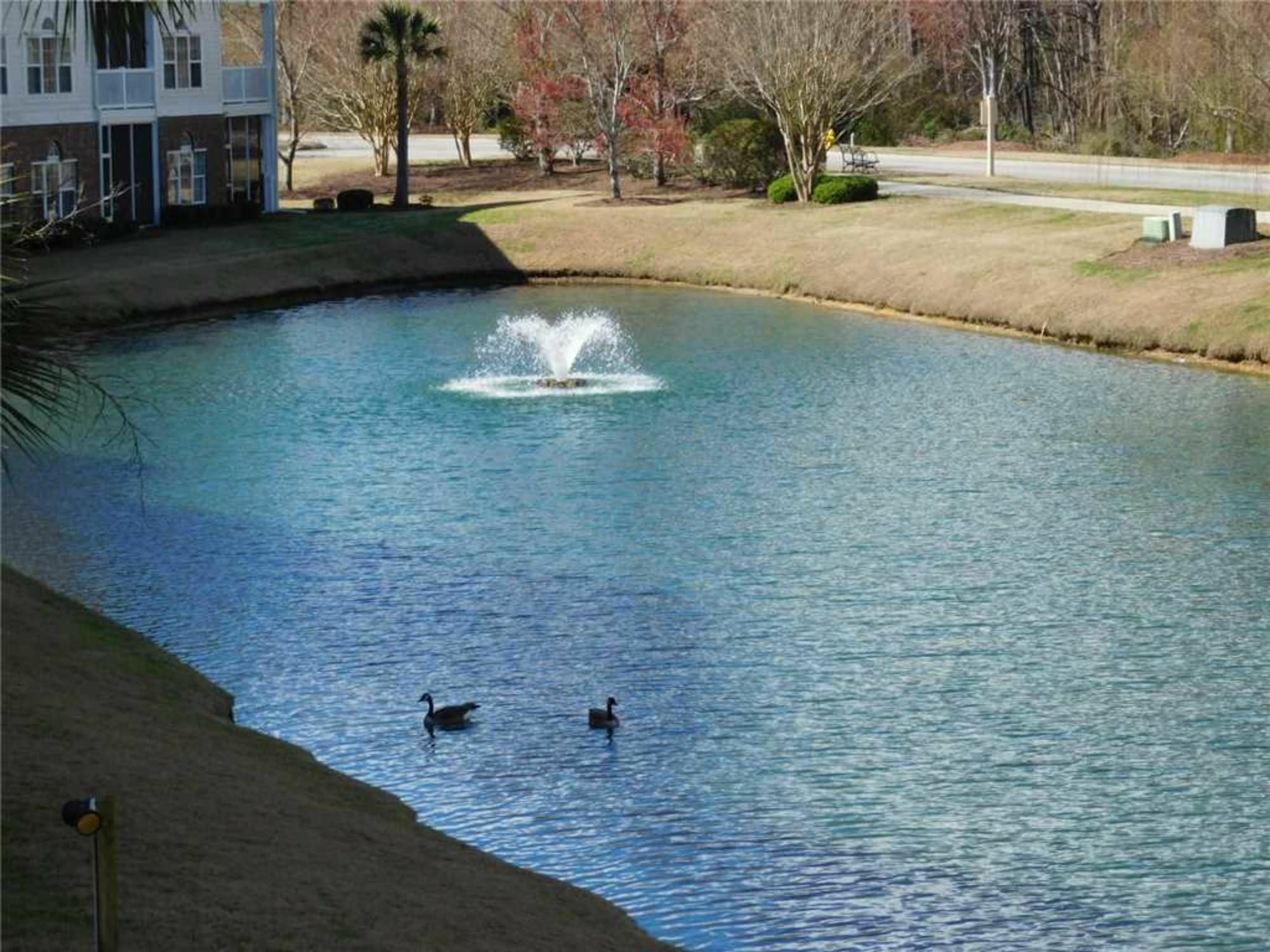 River Crossing Διαμέρισμα Briarcliffe Acres Εξωτερικό φωτογραφία